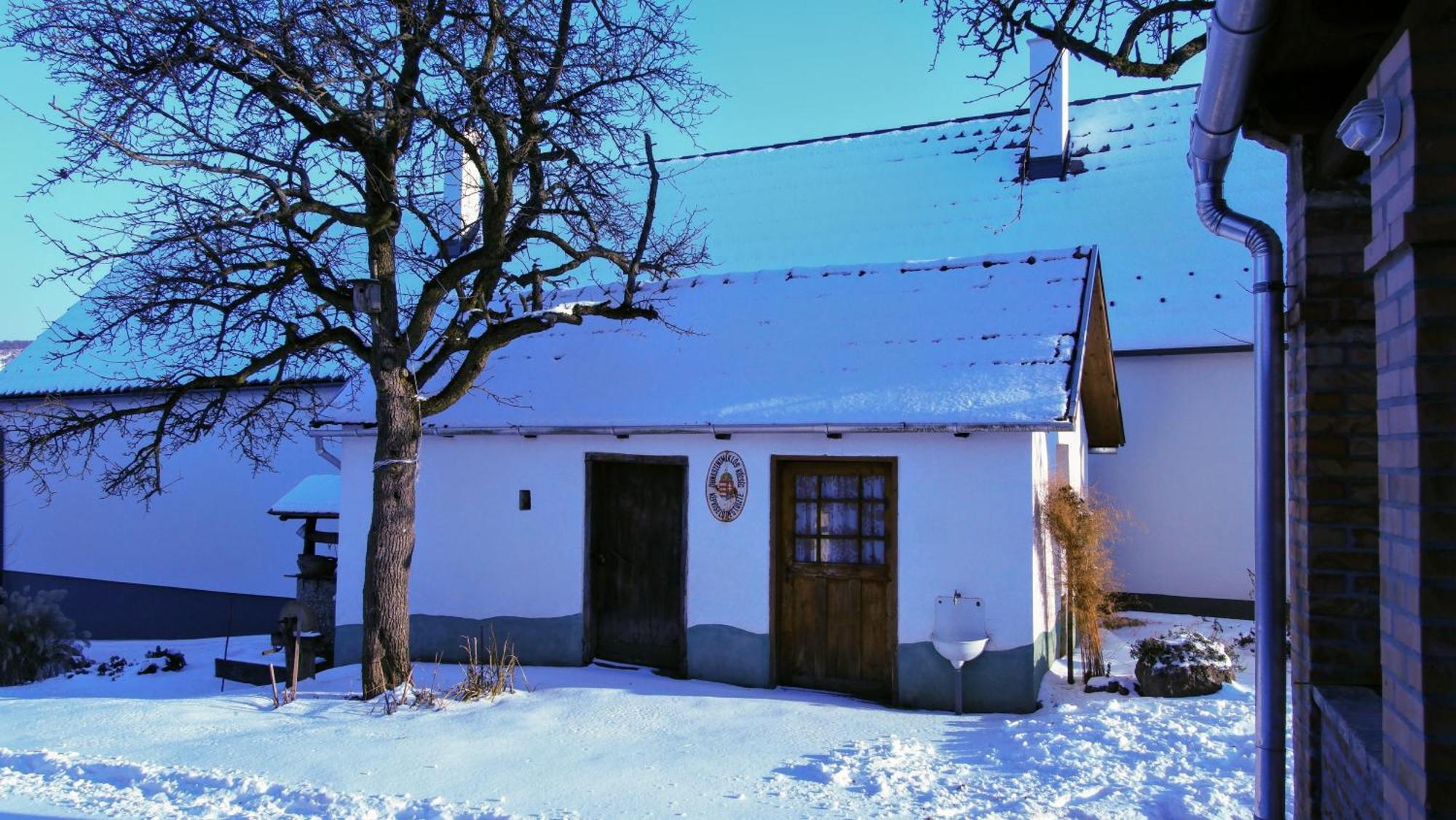 Bike Stop Duna Dunaszentmiklos Exterior photo